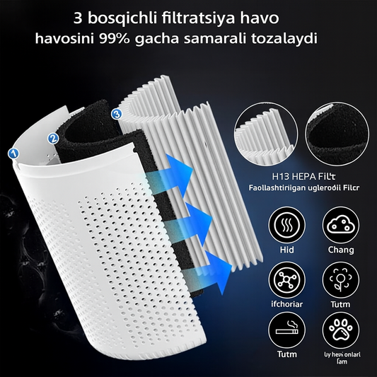 Dentoora ilg‘or havo tozalagich